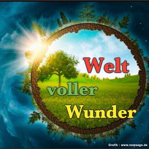 Blackbird ( Beatles ) - Live aus dem Gemeindezentrum St. Marien Grasdorf am 7.9.2025