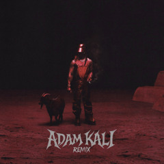 bodies (ADAM KALI REMIX)