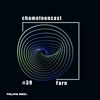 chameleon #39 - Farn DJ mix artwork - Electronic music tracklist cover image