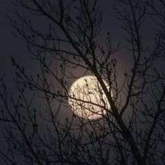 Winter Moon