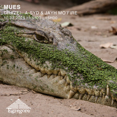 Guest Mix Drazel Invite - Mues (February 2025)
