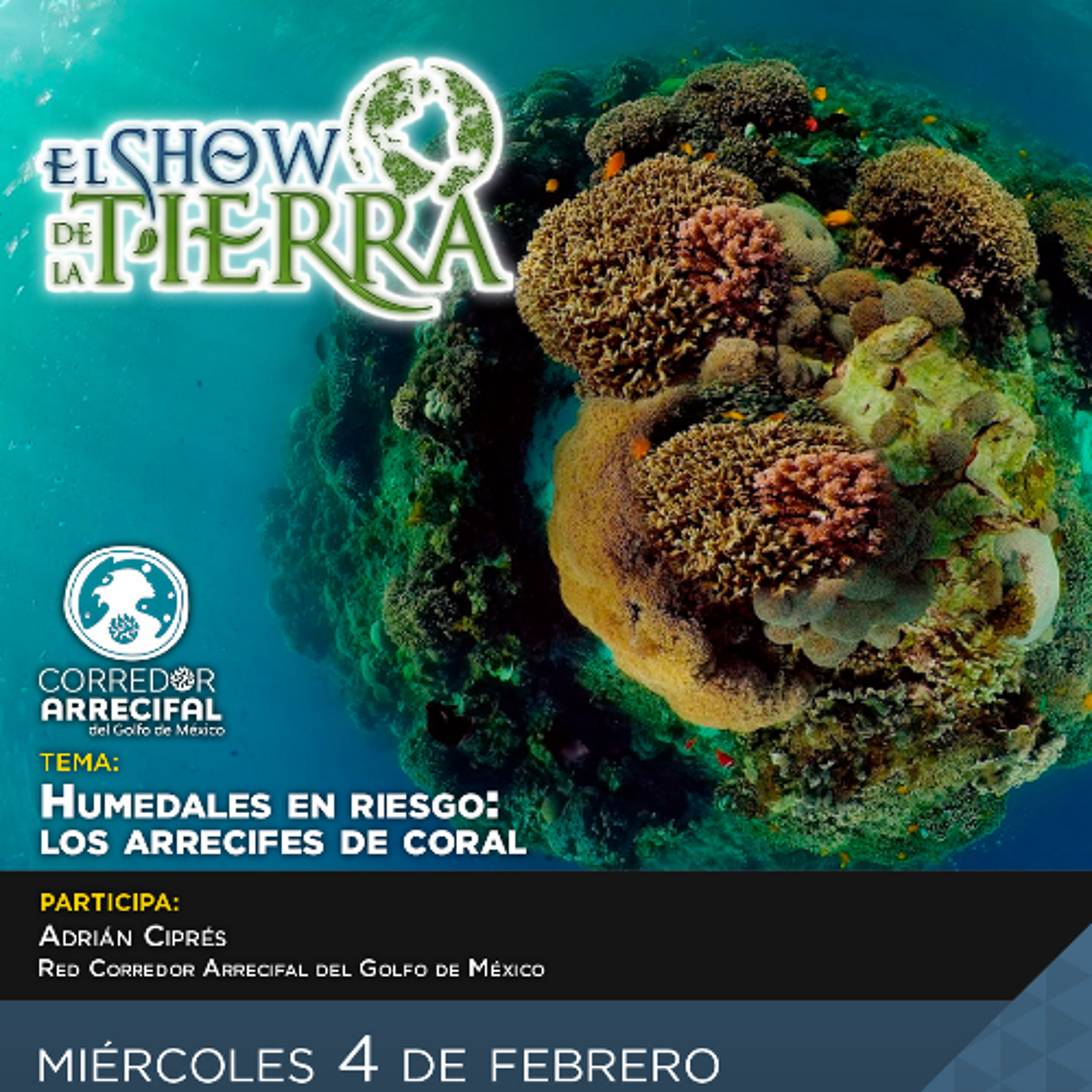 El Show de la Tierra - Humedales en Riesgo: Los Arrecifes de Coral episode artwork