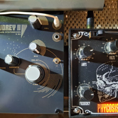 Audrey's Psychosis (Live)