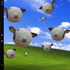 Balloonimals - KORAII
