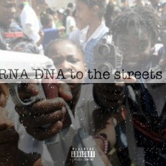 ZEDGEE X 308 FINESSE- Ride