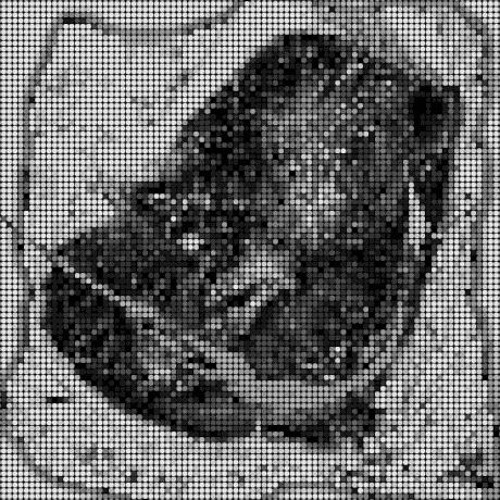 Skrillex X Hamdi - Push (Shosstah Flip)[FREE DOWNLOAD]