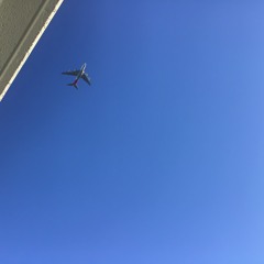 2k24 vibe$$ 🗣️🔊