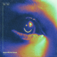 ANDY P - NATION WITH THE GROOVE