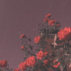 day dreaming ⋆⭒˚.⋆