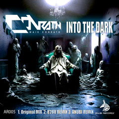 Into the Dark (8288 Remix)