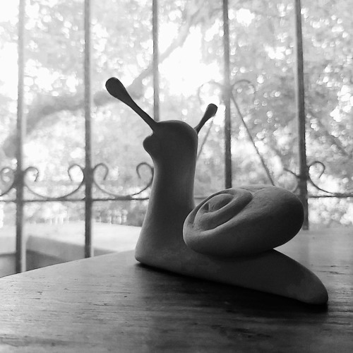 Snail's Pace