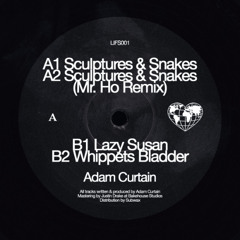 Adam Curtain - Sculptures & Snakes