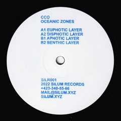 B2. CCO - Benthic Layer (snippet)