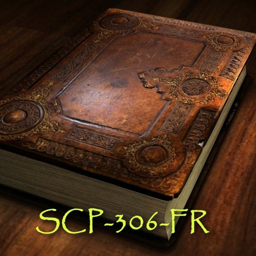Le livre des Artistes (SCP-306-FR), Docteur 63