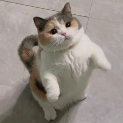 Ku tak melihat dari sisi sempurnamu