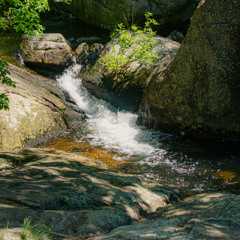 Stream's Gentle Flow