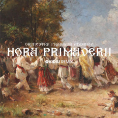 Orchestra Fratilor Advahov - Hora Primaverii (Ovidiu Remix)