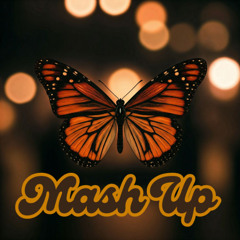 Crazy Town Vs Enrique Iglesias - Butterfly Bailamos