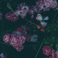 Crimson Flower (Tiri Pawanda Rendition)