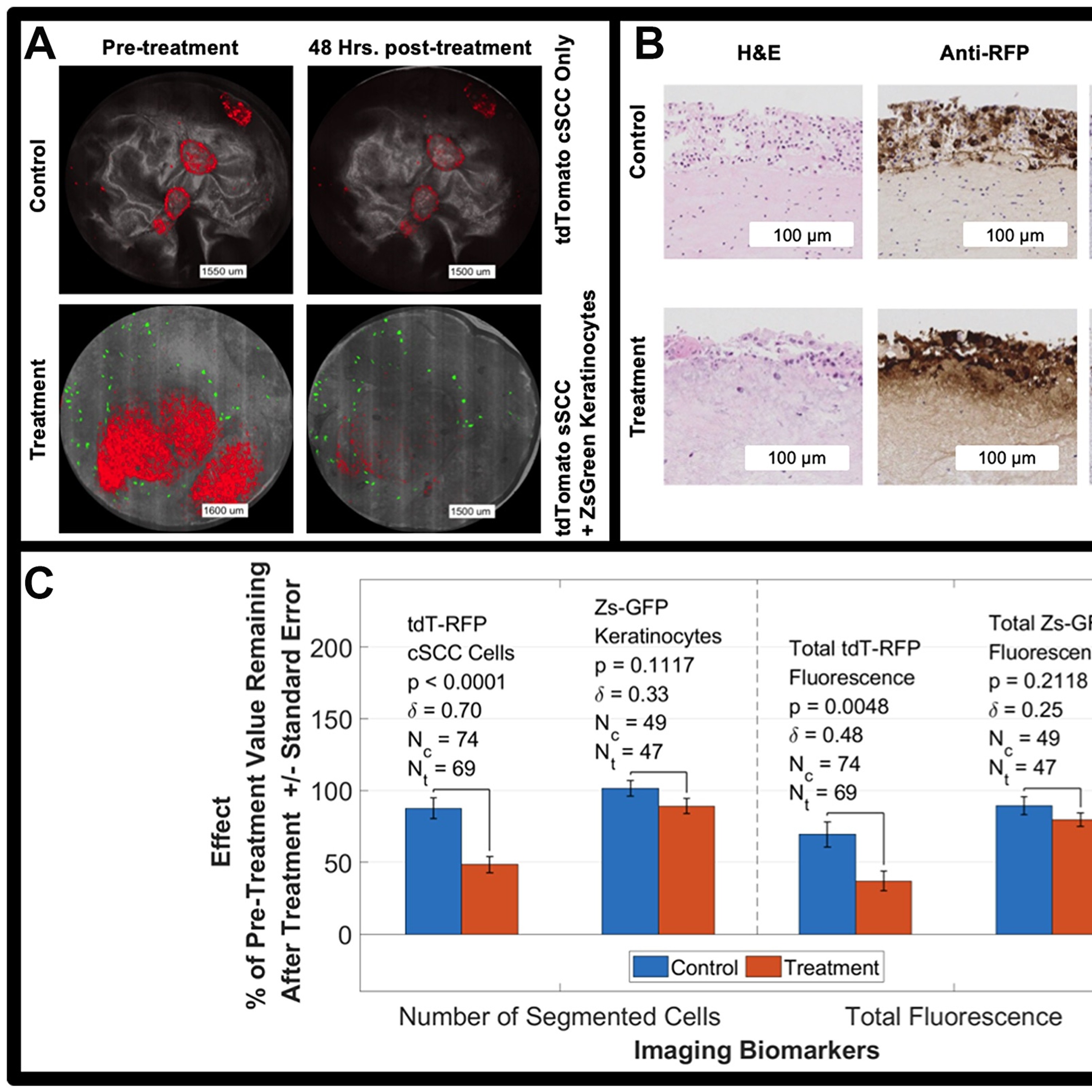 Oncotarget