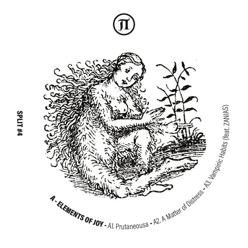 ELEMENTS OF JOY/STAVE - SPLIT#4 [PEVA10] //Snippets