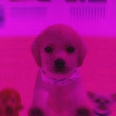 nintendogs shopping theme but i made it a cool beat - slowed & reverbed