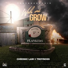Chronic Law - Weh Mi Grow (Raw)