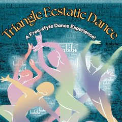 Embrace the Wonderful ~ 3rd Triangle Ecstatic Dance ~ Saturday 4.25.26