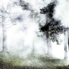 funkloch [spotify] prod. lonelyprinze