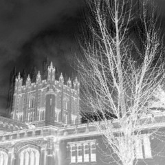 nightclubbing (remix)