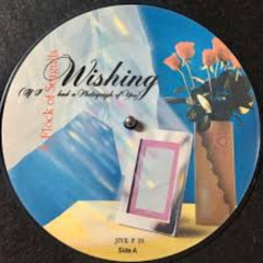 Wishing  [Dusk Mix]  A Flock of Seagulls cover version