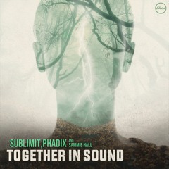 Sublimit & Phadix - Had Enough