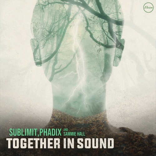 Sublimit & Phadix - Had Enough