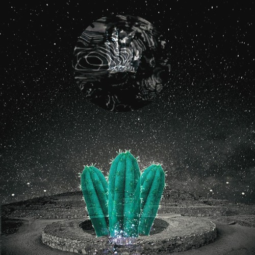 AYNI   (Ceremony Feat Tito La Rosa )