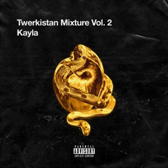 KAYLA 🐍 MIXTURE 2 🐍 TWERKISTAN