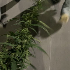 не понимаu