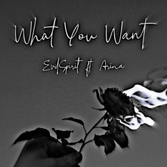 What You Want - EvilSpirit ft. ARINA (prod. P4RA & 5Head)