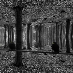 22.03.23_BANISH_PROGRESSIVE SESSION_VINYL_STRANGE WOODS_1