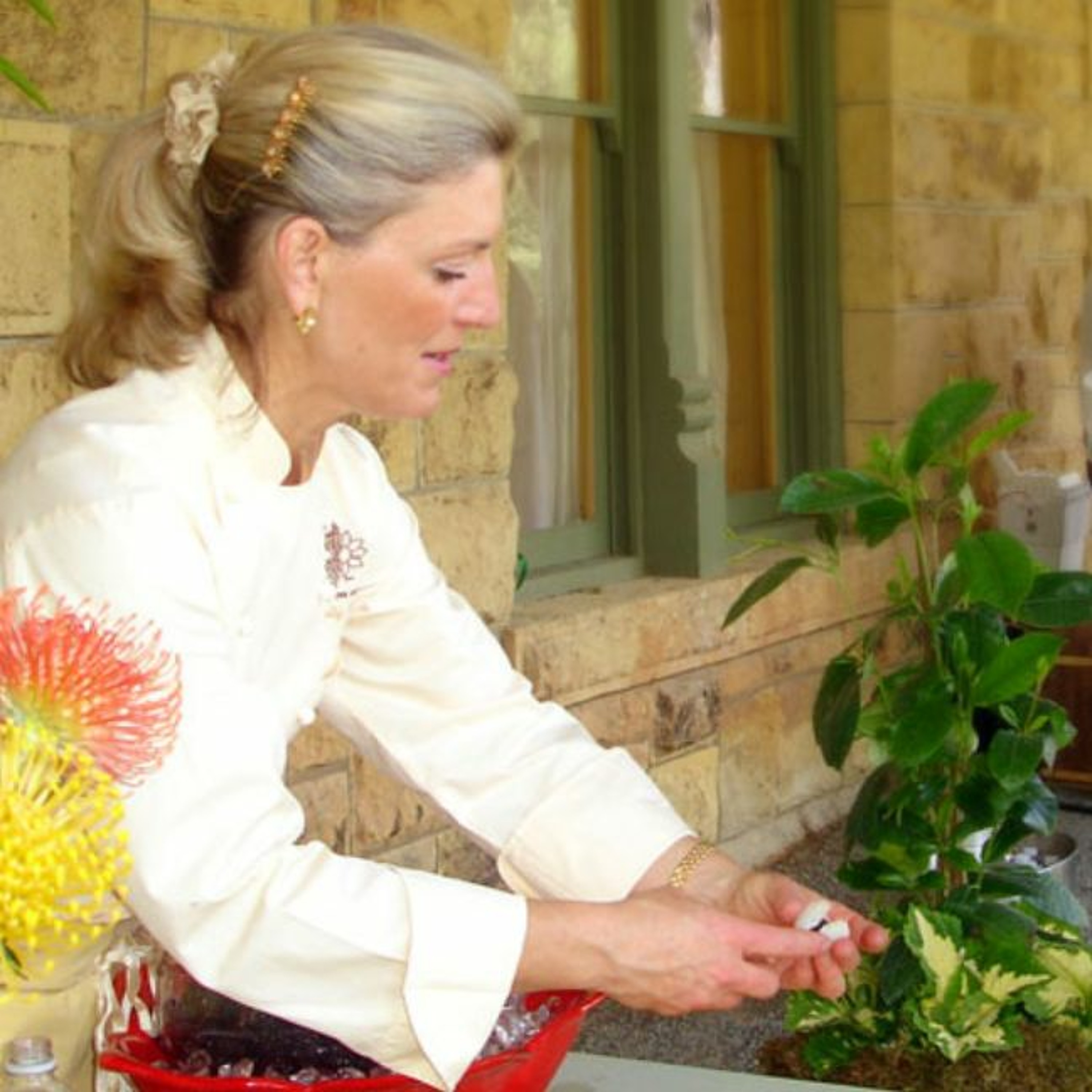 Wine Country Women