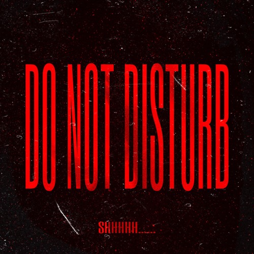 DO NOT DISTURB (PROD. TWENTYTWO5)