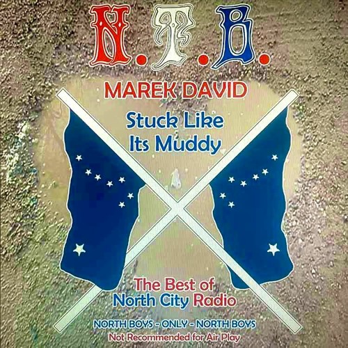 MAREK DAVID ~ STUCK LIKE IT'S MUDDY (PROD. MSSiNGNO)