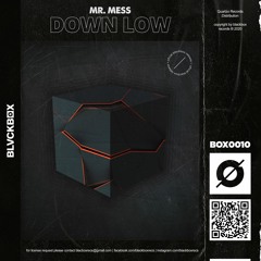 Mr. Mess - Down Low