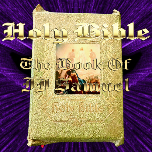 THE HOLY BIBLE ~ № 10 The Book Of 2 SAMUEL Ch. 19 David Restored to the Throne