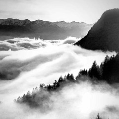 Artist in the ambulance - Thrice Acoustic Cover