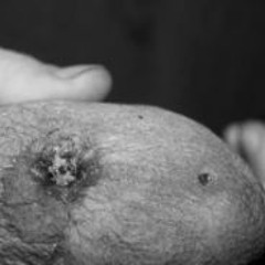 P.M.T.M.II.X.T.A.Y.P.E.H. (NØRTH AUDIØS NETWØRKERS ESXKLOOSIVE)