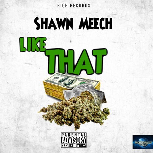 Shawn Meech - Like That