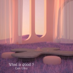 What Is Good ? - Cem Ulku