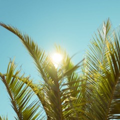 Tropical Summer