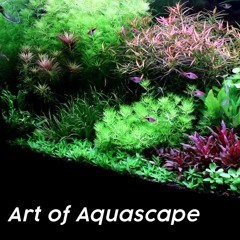 Art of Aquascape - Boris Brejcha - Maceo Plex - Trippy Code by RTTWLR [Free Download]