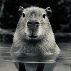 El Capibara del Museo